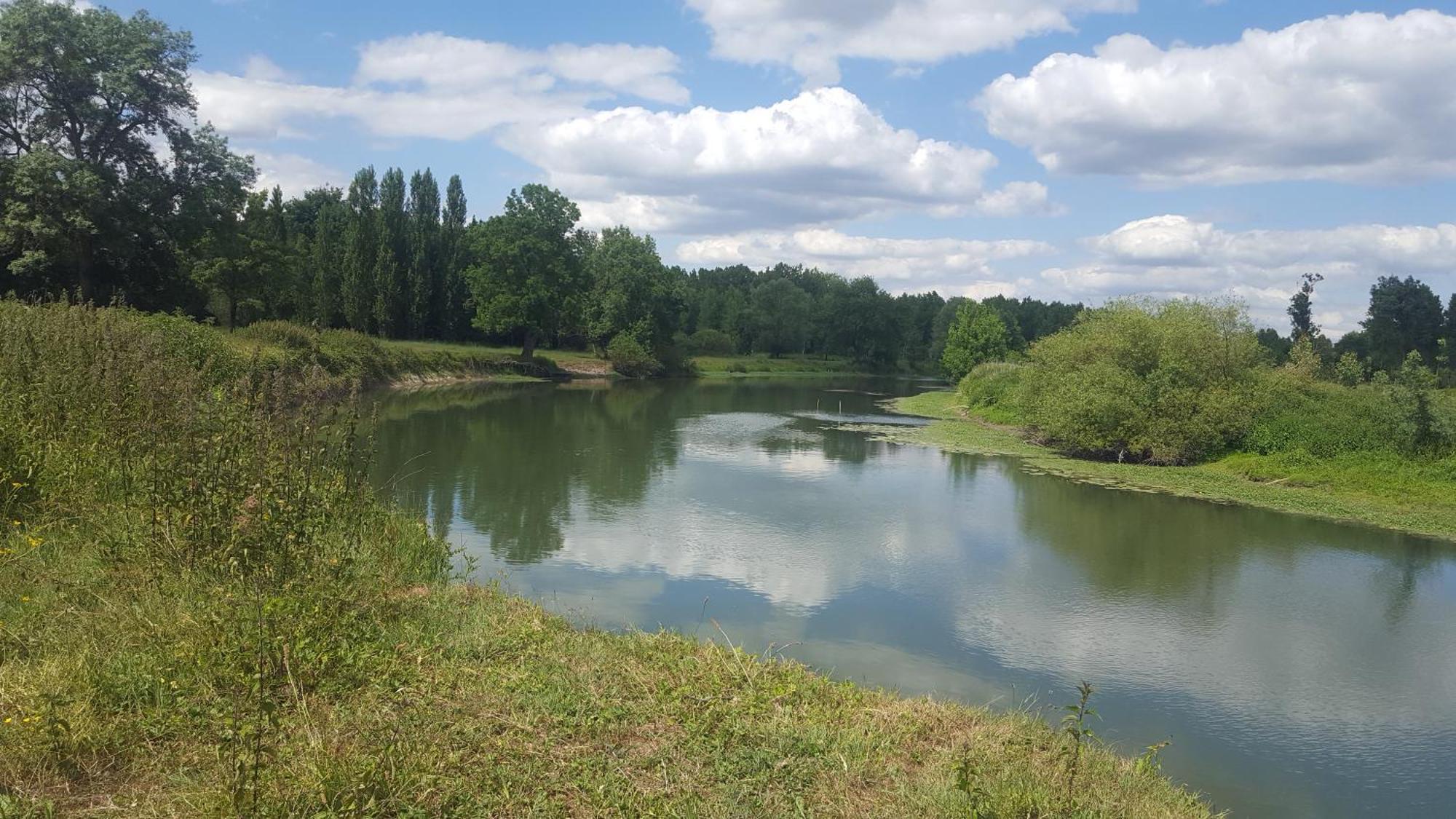 Gite Angers Proche Briollay Exterior foto