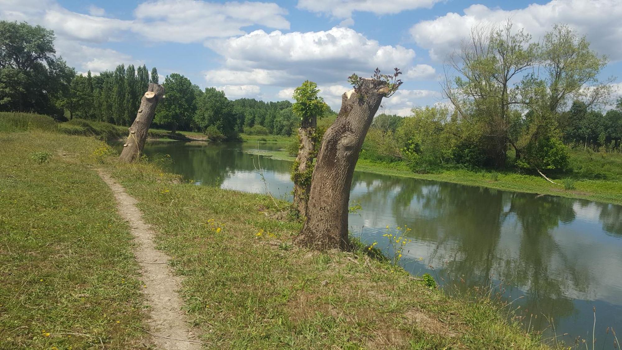 Gite Angers Proche Briollay Exterior foto