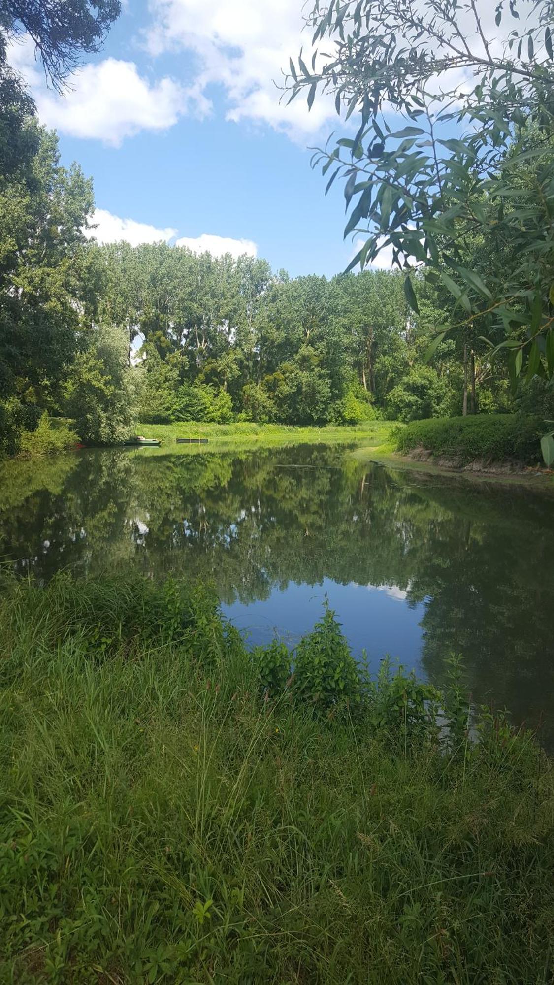 Gite Angers Proche Briollay Exterior foto